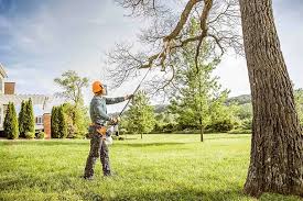 Best Storm Damage Tree Cleanup  in Irwindale, CA